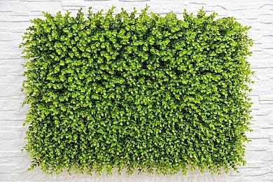 《街头霸王6》推出《快打旋风》联动内容